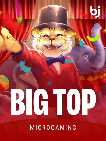 বিগ টপ game thumbnail